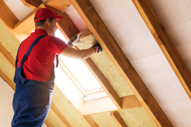 Best Garage Insulation  in Lathrop, CA